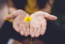 “마음 건강, 하루 10분의 작은 실천부터 시작해요” selective focus photography of woman holding yellow petaled flowers