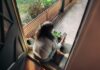 만성피로의 그늘, 일상 속 실천으로 밝게 걷자 Woman sitting on balcony with smartphone